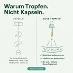 Nure Leber Support – zur Wiederherstellung von Energie und Vitalität