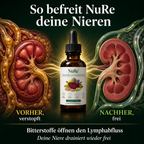 Nure - Kidney